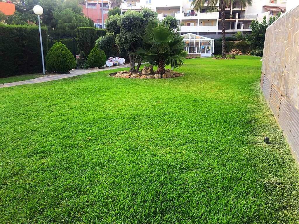 בנאלמדנה Seaview Apartment With Great Amenities & Facilities מראה חיצוני תמונה